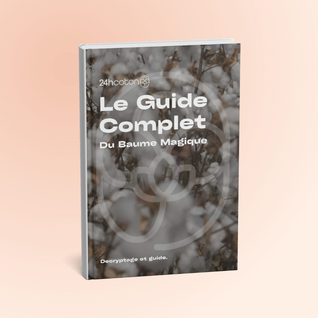 Ebook Le Guide Complet